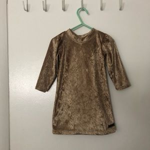 Gold Velor Dress